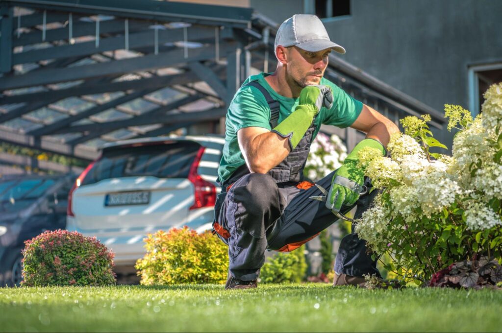 Liquid Aeration