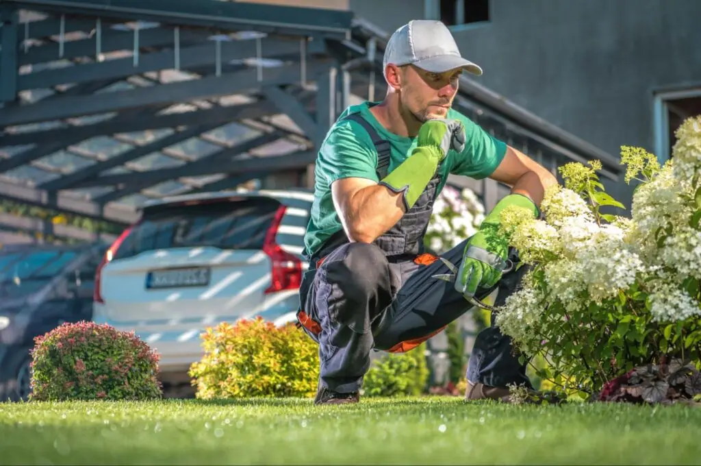 Liquid Aeration