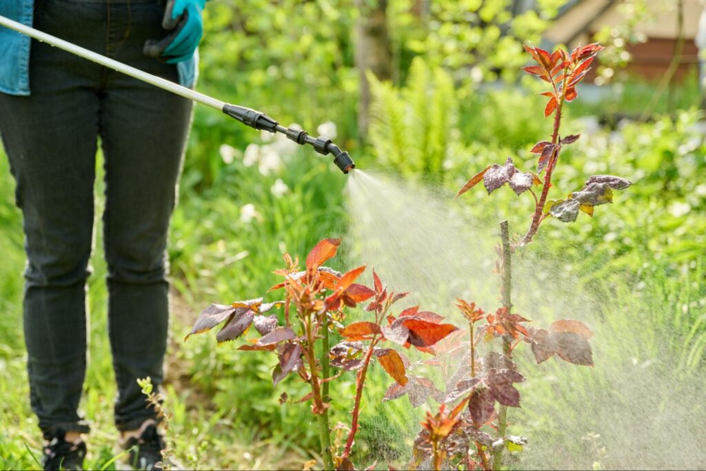 weed control