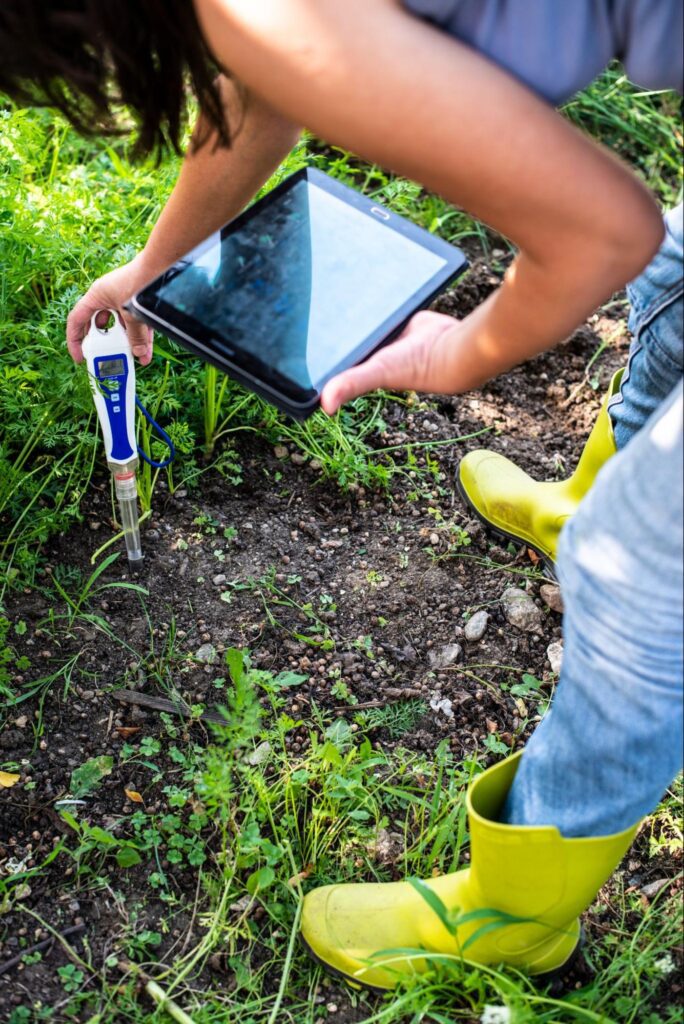 Lawn Issues in Alpharetta