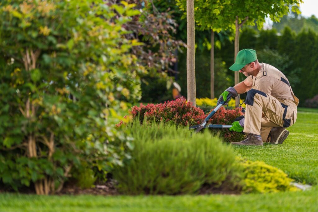Lawn Care