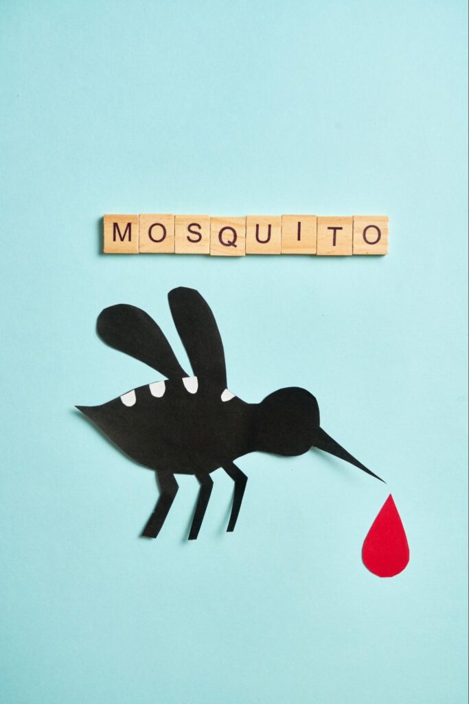 Mosquitoes in Alpharetta
