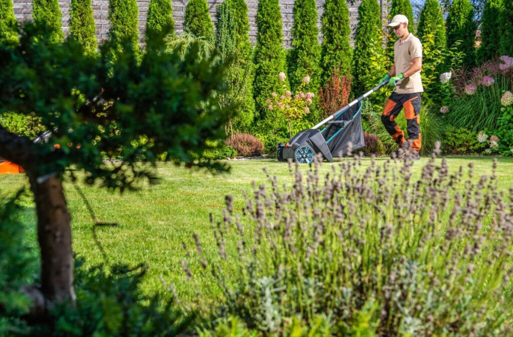 Lawn Care