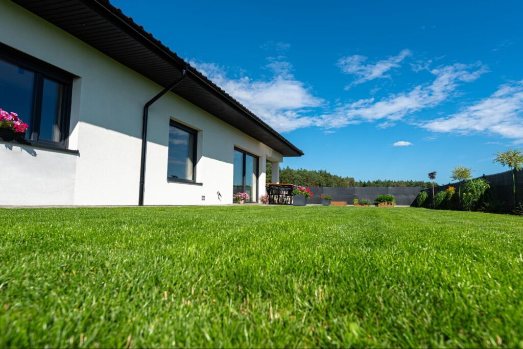 Achieve a Yard That Wows
