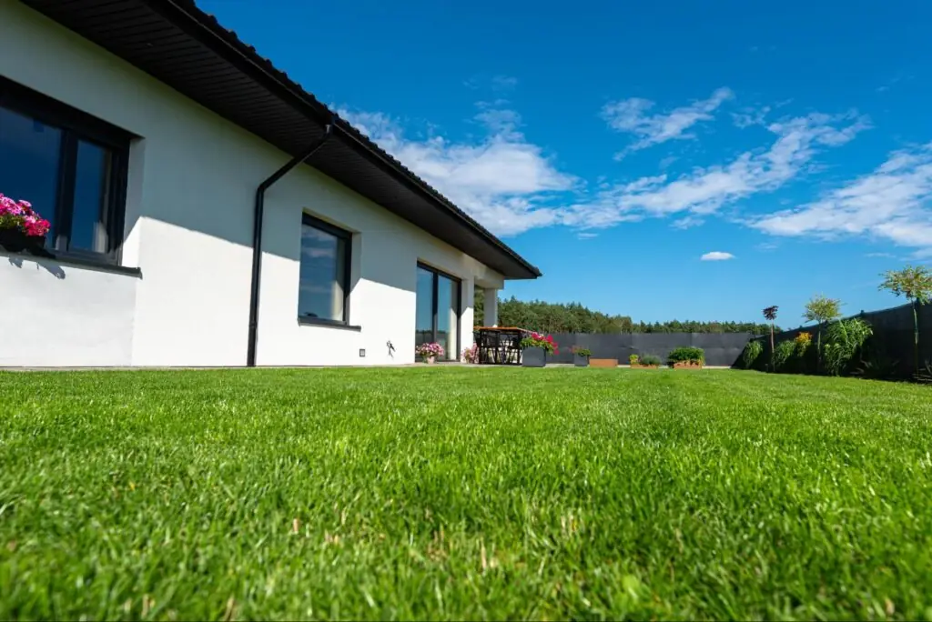Achieve a Yard That Wows