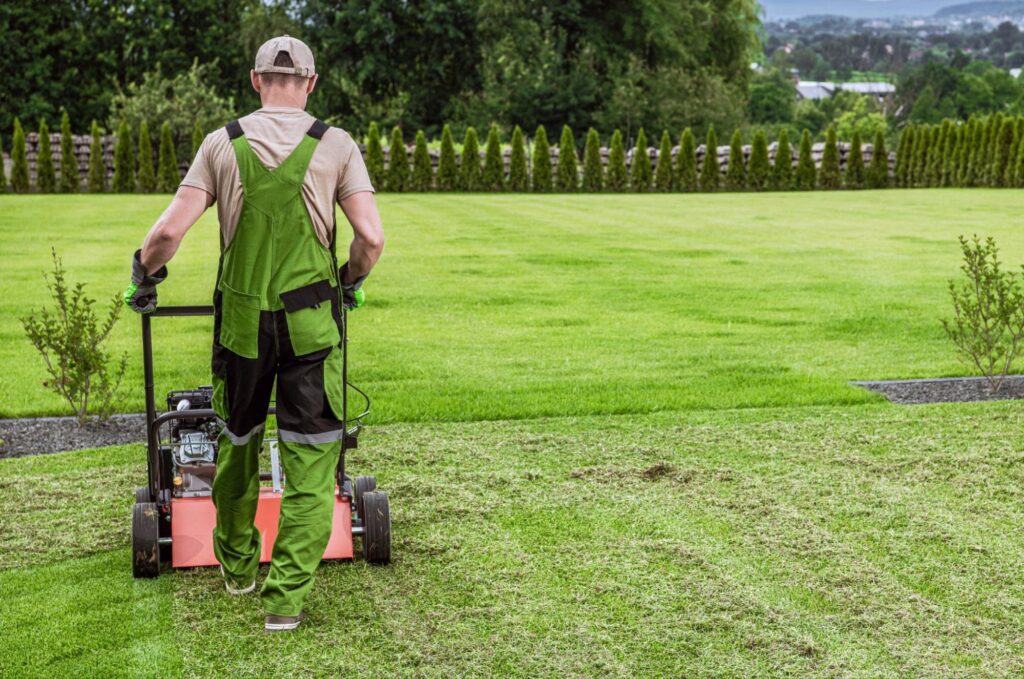 Atlanta Lawn