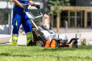 Lawn Mowing