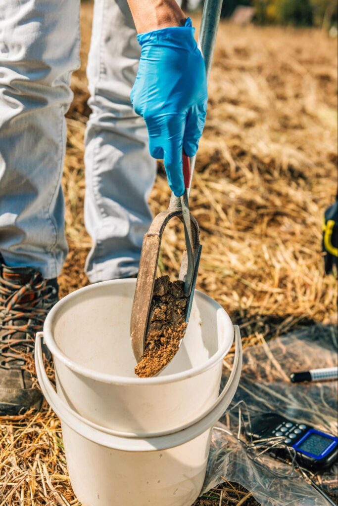 Lawn Fertilization