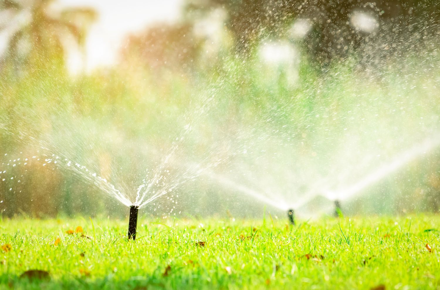 Irrigation