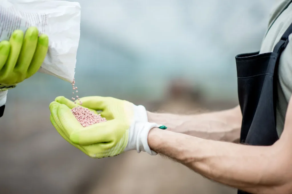 Best Fertilizers for Georgia Lawns Explained: How to Choose and Apply for Healthy Grass