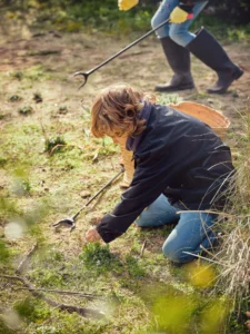Effective Weed Control Methods for Vibrant Flower Beds: How to Prevent and Remove Weeds Safely