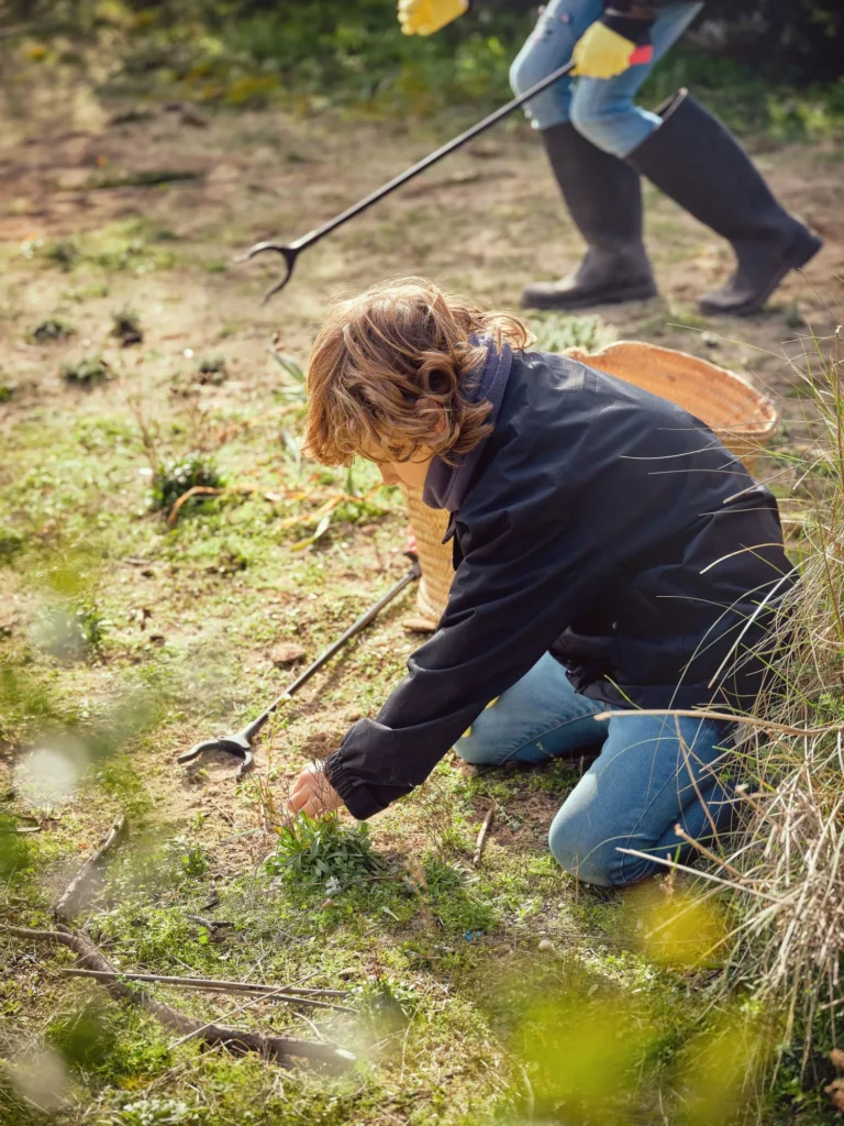 Effective Weed Control Methods for Vibrant Flower Beds: How to Prevent and Remove Weeds Safely