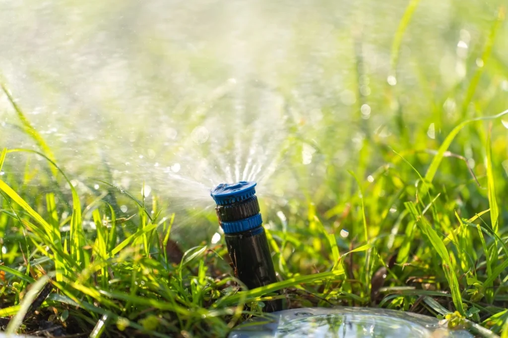 Keep Your Sprinklers in Top Shape: Spot Problems Early