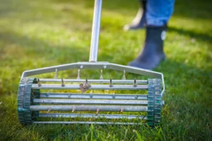 Dethatching or Aeration: Which Is Best for Your Lawn?