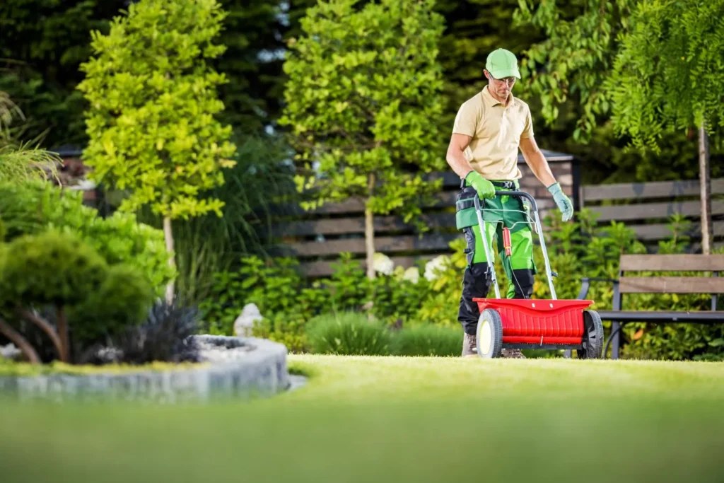 DIY Lawn Fertilization Tips for Homeowners: How to Feed Your Lawn Naturally and Effectively
