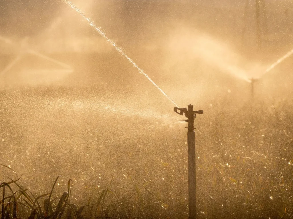 How to Design a Sprinkler System for Even Coverage and Real Water Savings