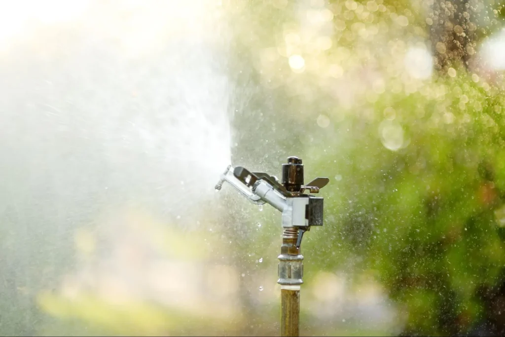 Budget-Friendly Irrigation Solutions for Marietta Residents: Setup, Fixes, and Water-Wise Choices