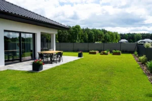 Yellow Spots on Lawn: What Causes Them and How to Fix It in North Georgia