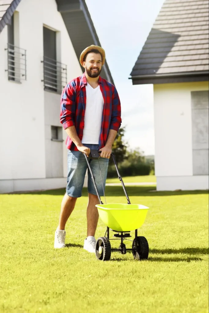 Revitalize Your Dunwoody Lawn: The Power of Overseeding