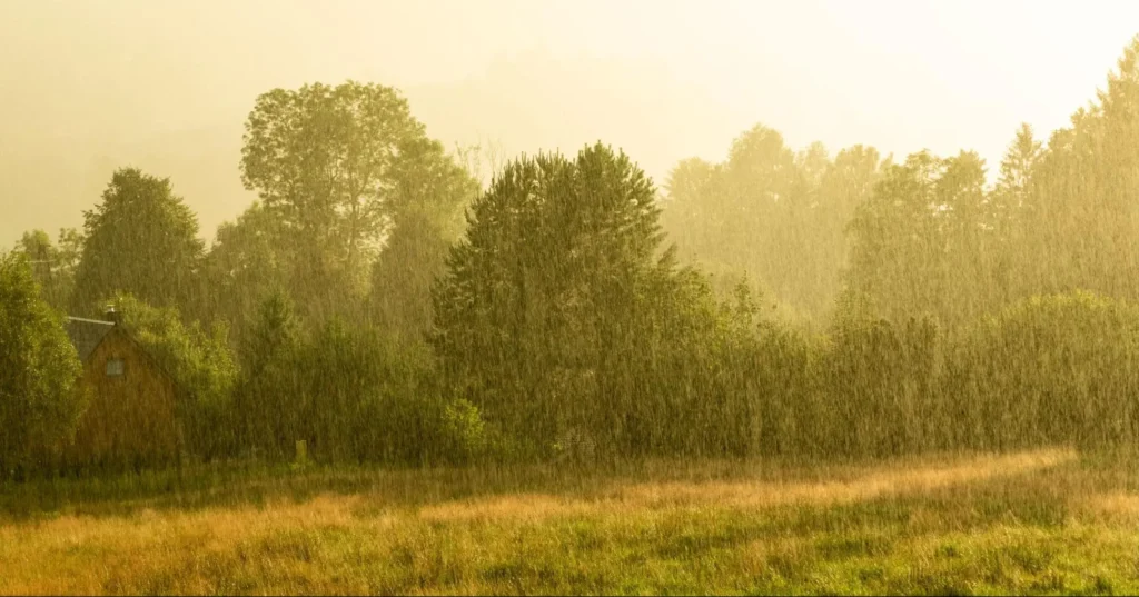 Mastering Your Marietta Lawn: Top Lawn Mower Picks & Pro Care Secrets