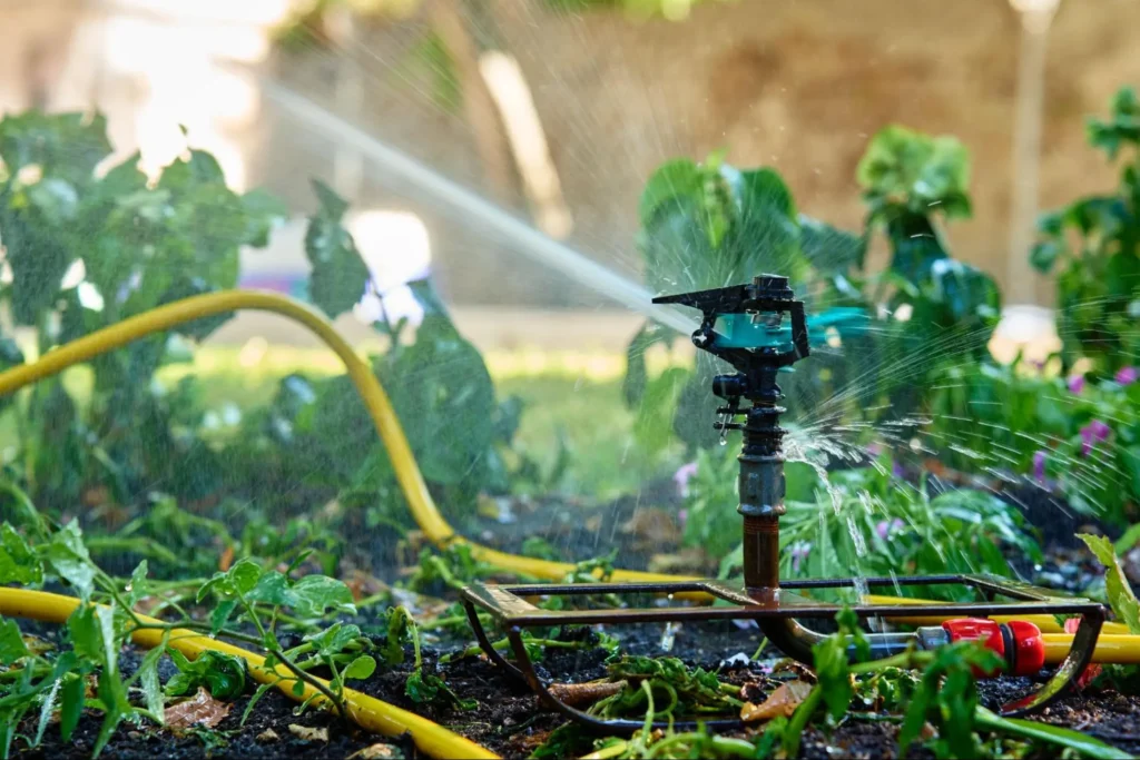Keep Your Roswell Irrigation System Thriving: Expert Tips for Repairs, Winterization, and Smart Watering