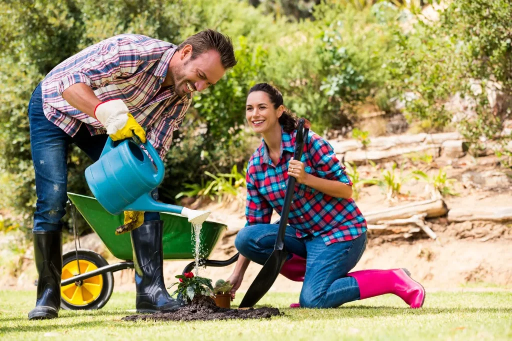 Best DIY Lawn Repair Techniques for a Lush Yard: How to Fix Bare Spots and Patch Your Lawn