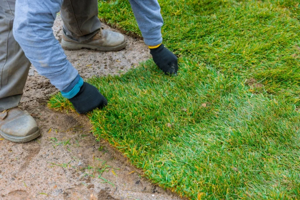 Best DIY Lawn Repair Techniques for a Lush Yard: How to Fix Bare Spots and Patch Your Lawn