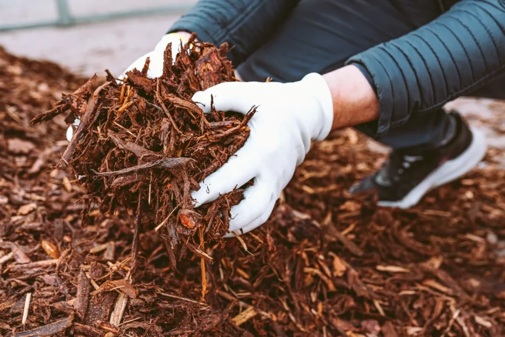 How Mulch Depth Affects Soil Temperature, Moisture, and Root Health
