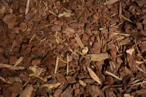When Mulch Causes Root, Pest, and Disease Problems
