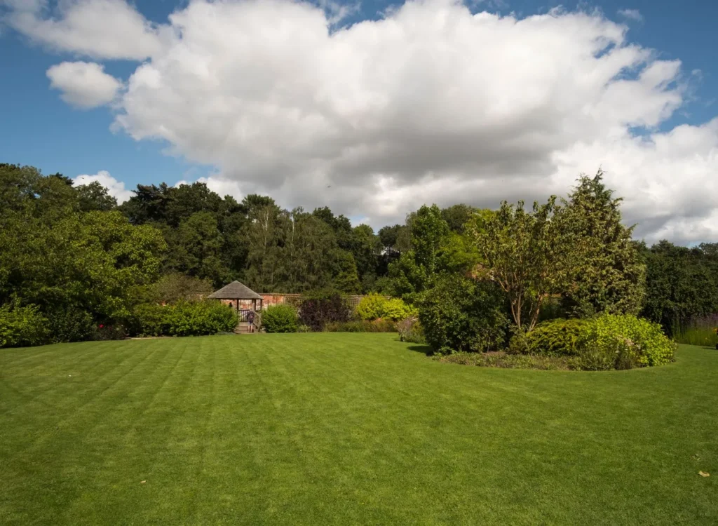 How Lawn Pest Control Boosts Property Value, Curb Appeal, and Home Equity