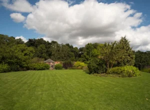 How Lawn Pest Control Boosts Property Value, Curb Appeal, and Home Equity