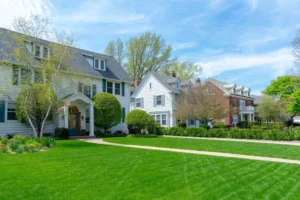 How Lawn Pest Control Boosts Property Value, Curb Appeal, and Home Equity