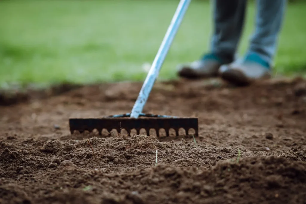 Lawn Soil Preparation for Georgia Homeowners: How to Test, Amend, and Improve Your Lawn Soil