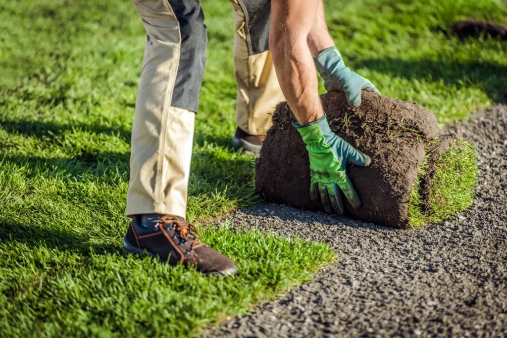 How to Restore Your Lawn After Damage: Practical Lawn Restoration Tips for Georgia Homeowners