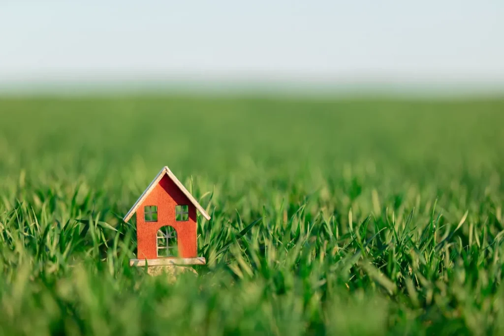 Matching Grass Seed to Existing Turf and Conditions: How to Avoid Patchy Lawns and Ongoing Problems