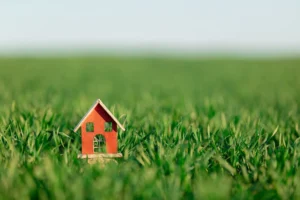 Matching Grass Seed to Existing Turf and Conditions: How to Avoid Patchy Lawns and Ongoing Problems