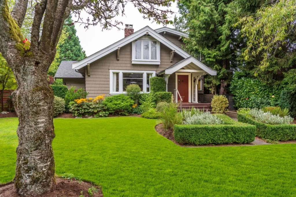 Matching Grass Seed to Existing Turf and Conditions: How to Avoid Patchy Lawns and Ongoing Problems