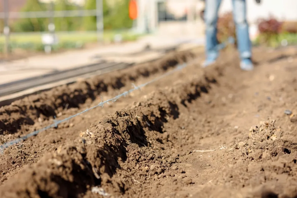 Lawn Care for Properties with Thin or Disturbed Topsoil