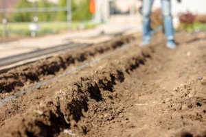 Lawn Care for Properties with Thin or Disturbed Topsoil