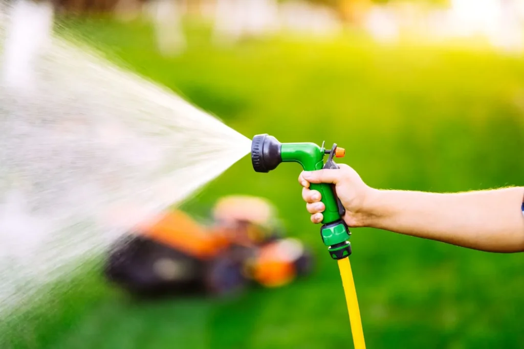 Lawn Care for Properties with Thin or Disturbed Topsoil