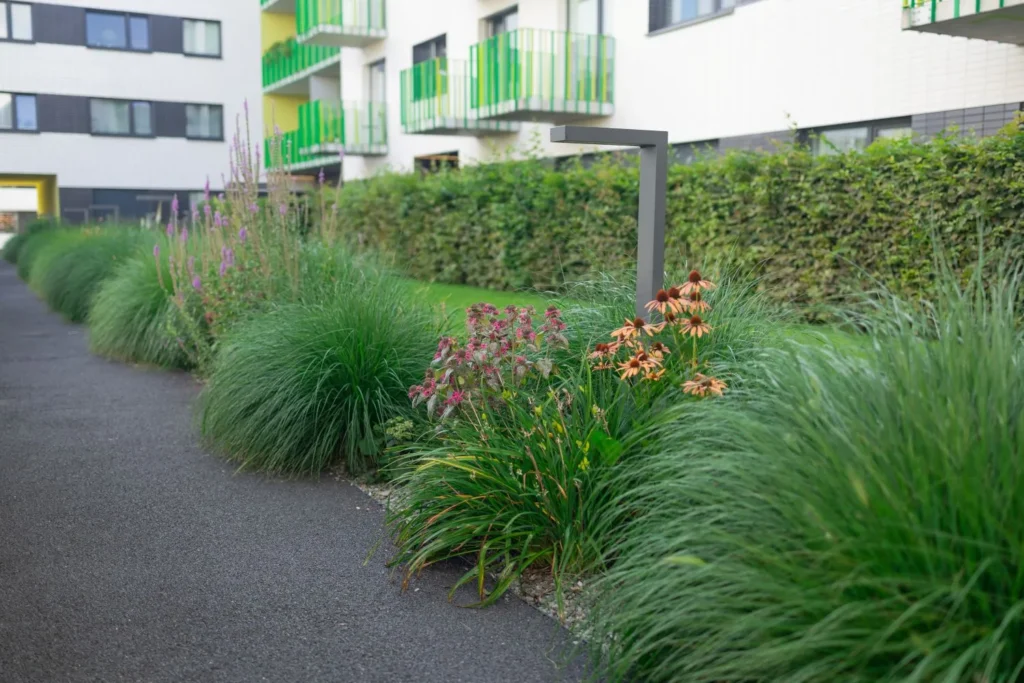 Turf Management in Compact Urban Lots
