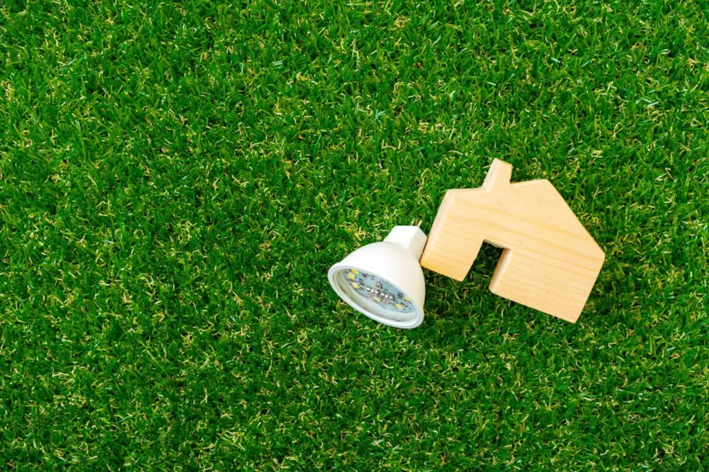 Why Lawn Disease Often Starts Below the Surface