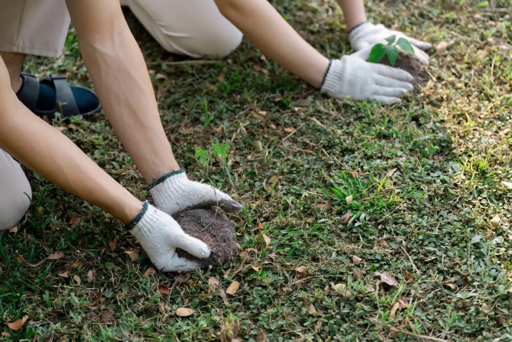 Lawn Repair After Construction or Utility Damage