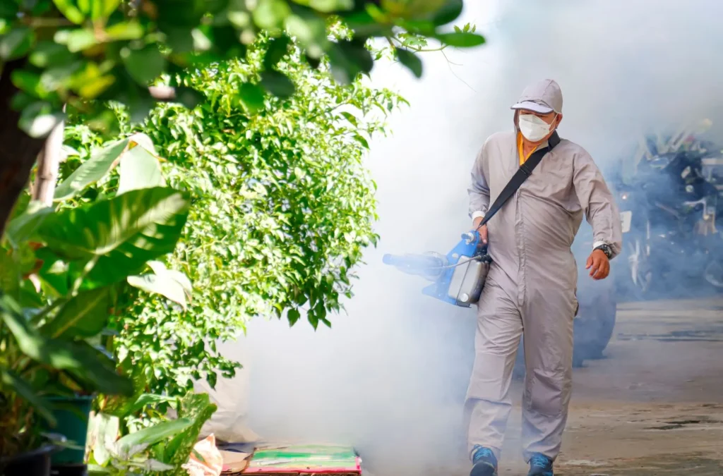 Essential Guide: Chemical Insecticides for Mosquito Control