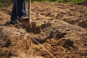 Why Overseeding Fails Without Proper Soil Preparation