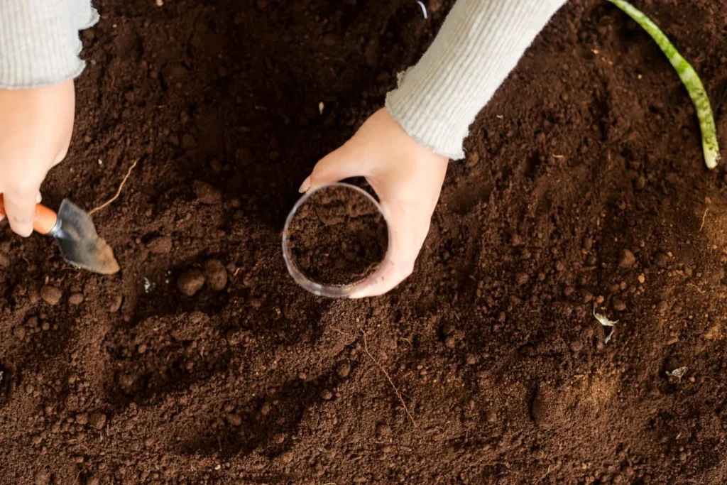 Aeration vs. Soil Structure: What Aeration Can and Can’t Fix