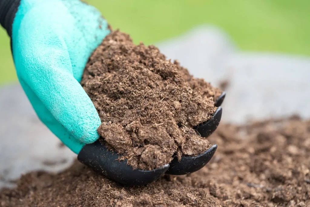Why Compacted Soil Heats Up Faster Than Healthy Soil