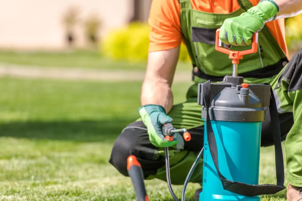 Why Repeated Spot Treatments Rarely Stop Lawn Disease