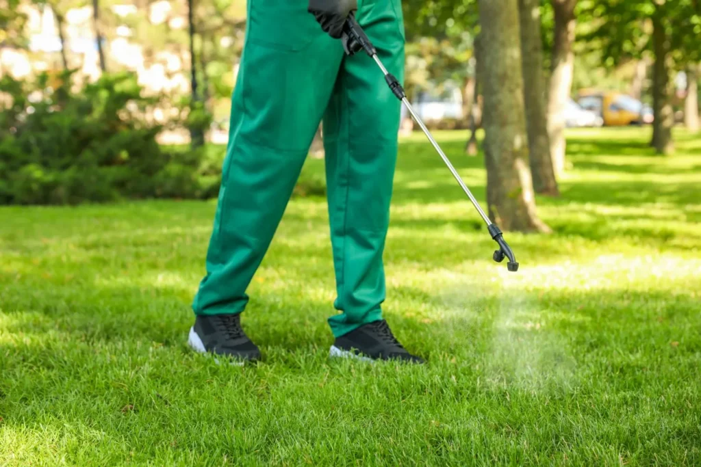 Why Repeated Spot Treatments Rarely Stop Lawn Disease