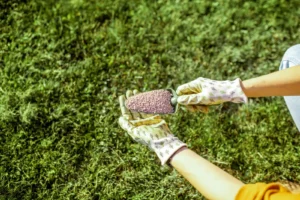 Lawn Repair Mistakes That Prevent Long-Term Recovery